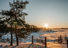 Сортавальский район: Глэмпинг Lago Ladoga