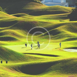 Фото от владельца Свиясжкие холмы, гольф-клуб