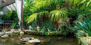 Адлер: Гостевой дом Siena