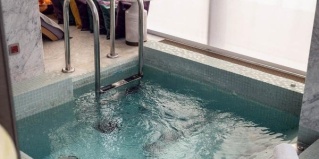 Сочи: Отель Grand Karat Sochi