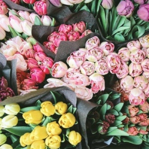 Фото от владельца Цветы Голландии, сеть складов-магазинов