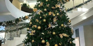 Санаторное: Санаторий Синегорские минеральные воды