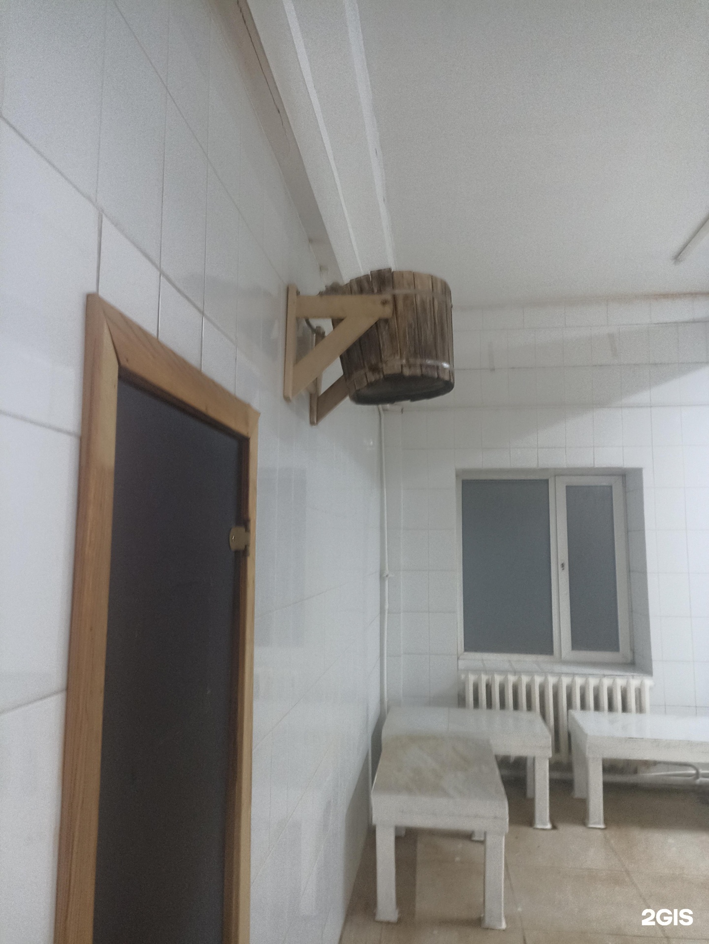 Дельфин