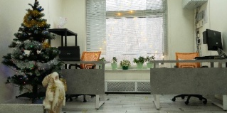 Москва: Хостел All bears