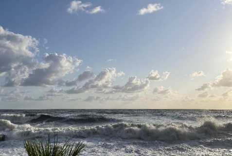 Сочи: Гостевой дом Anastasia