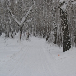 Фото от владельца Сибирь, лыжная база
