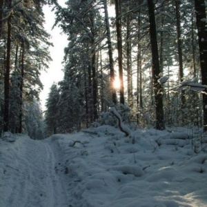 Фото от владельца Заельцовский, парк культуры и отдыха