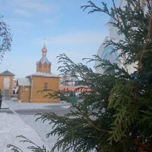 Фото от владельца Покровский Александро-Невский женский монастырь