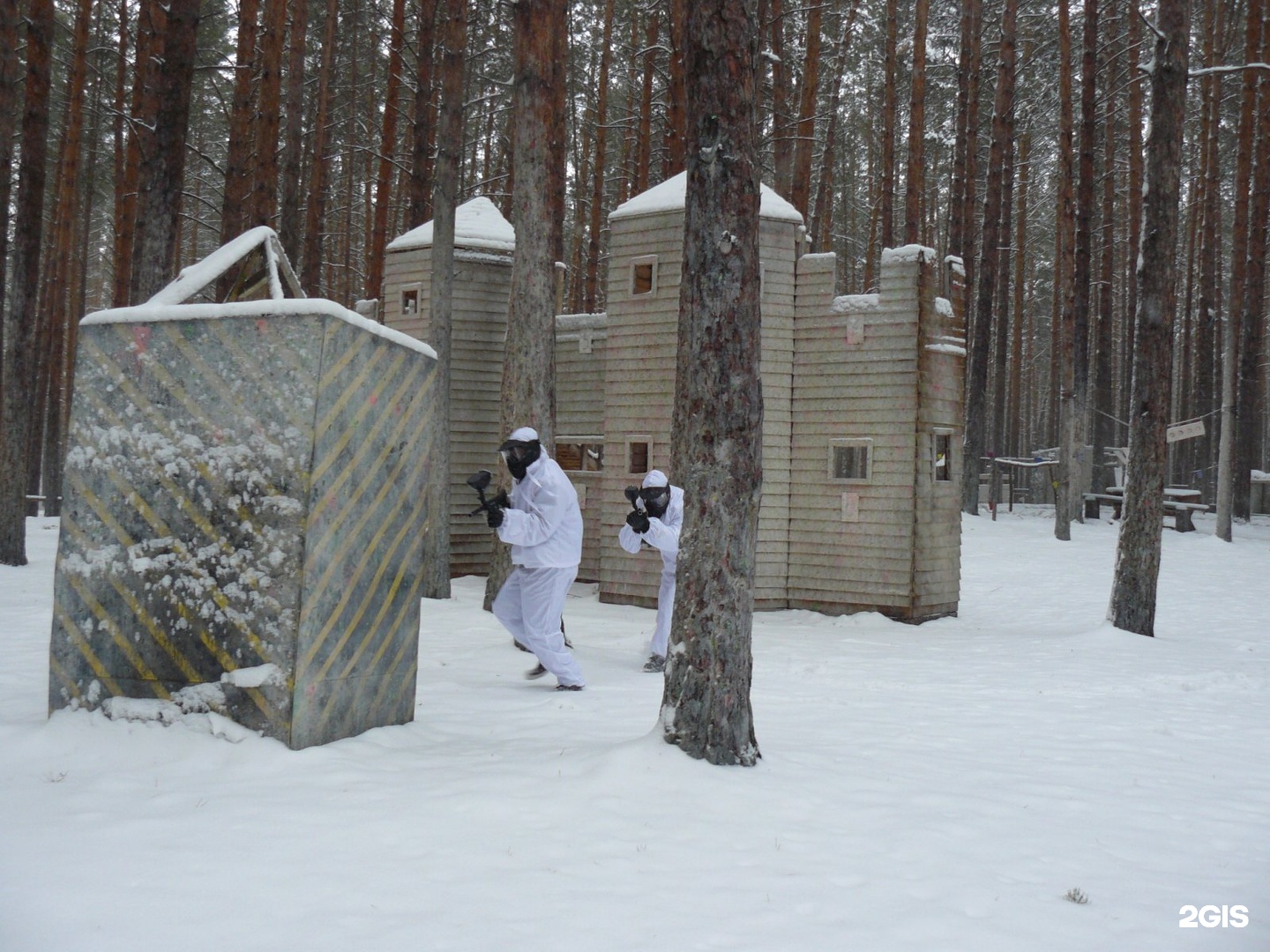 заельцовский парк новосибирск аренда беседок