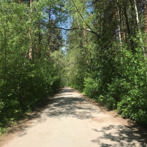 Фото от владельца Сосновый бор, парк культуры и отдыха