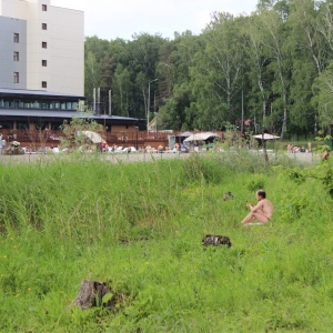 Фото от владельца Сосновый бор, парк культуры и отдыха