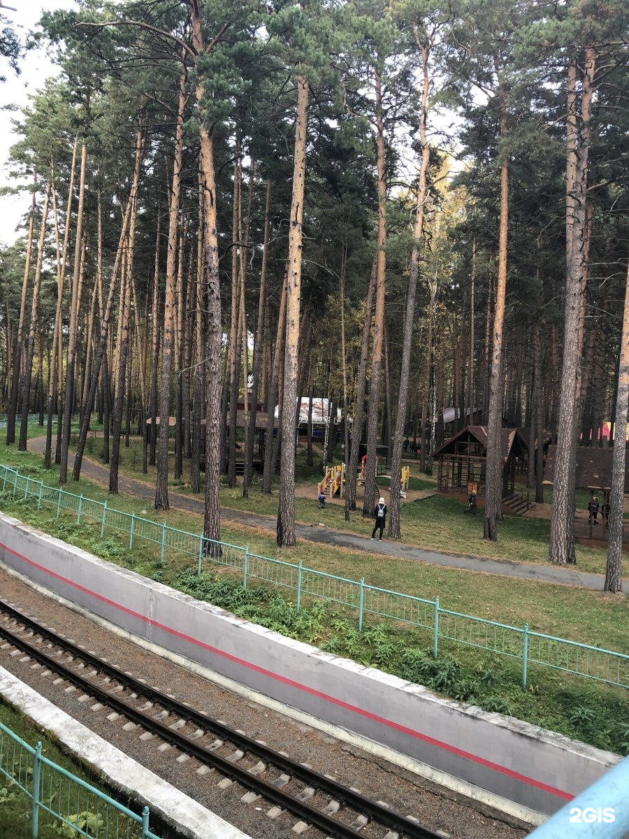 заельцовский парк в новосибирске