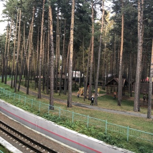 Фото от владельца Заельцовский, парк культуры и отдыха