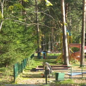 Фото от владельца Сосновый бор, парк культуры и отдыха