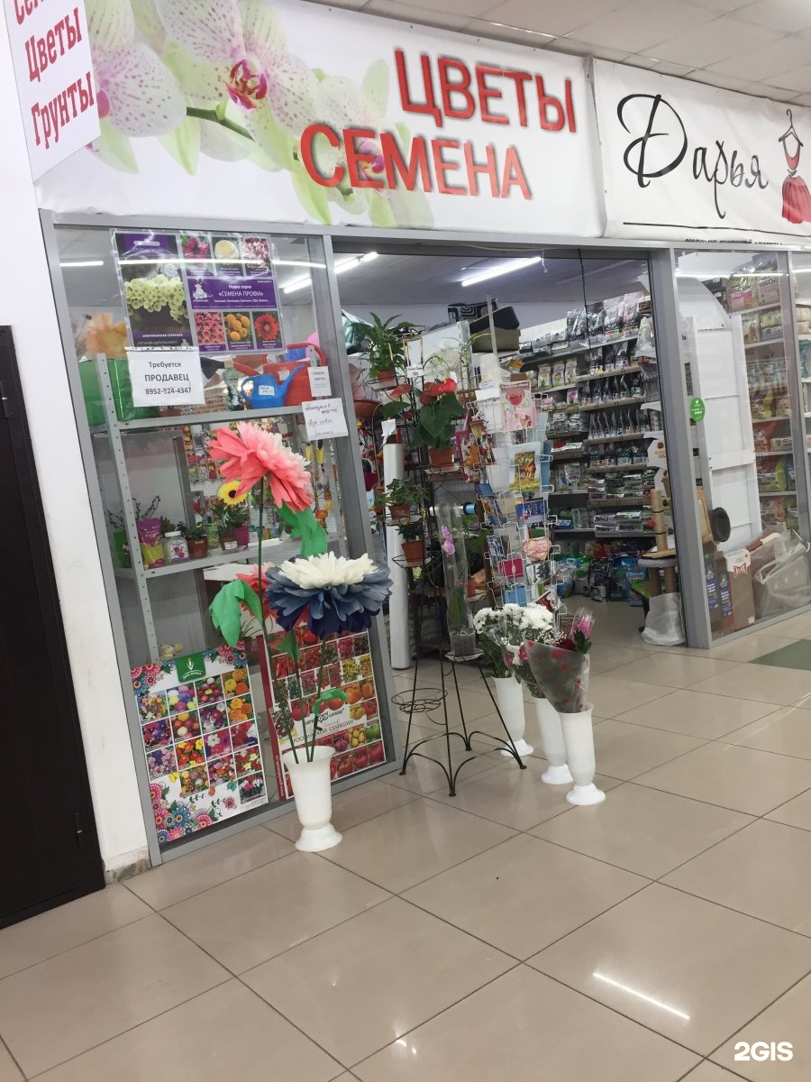 Семена-центр Новосибирск. Цветочный магазин Новосибирск. Объединения 29 Новосибирск. Магазин Новосибирская 4 Москва.