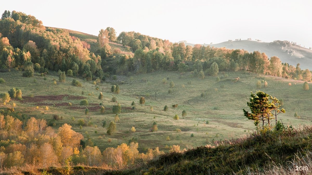 Веселая гора