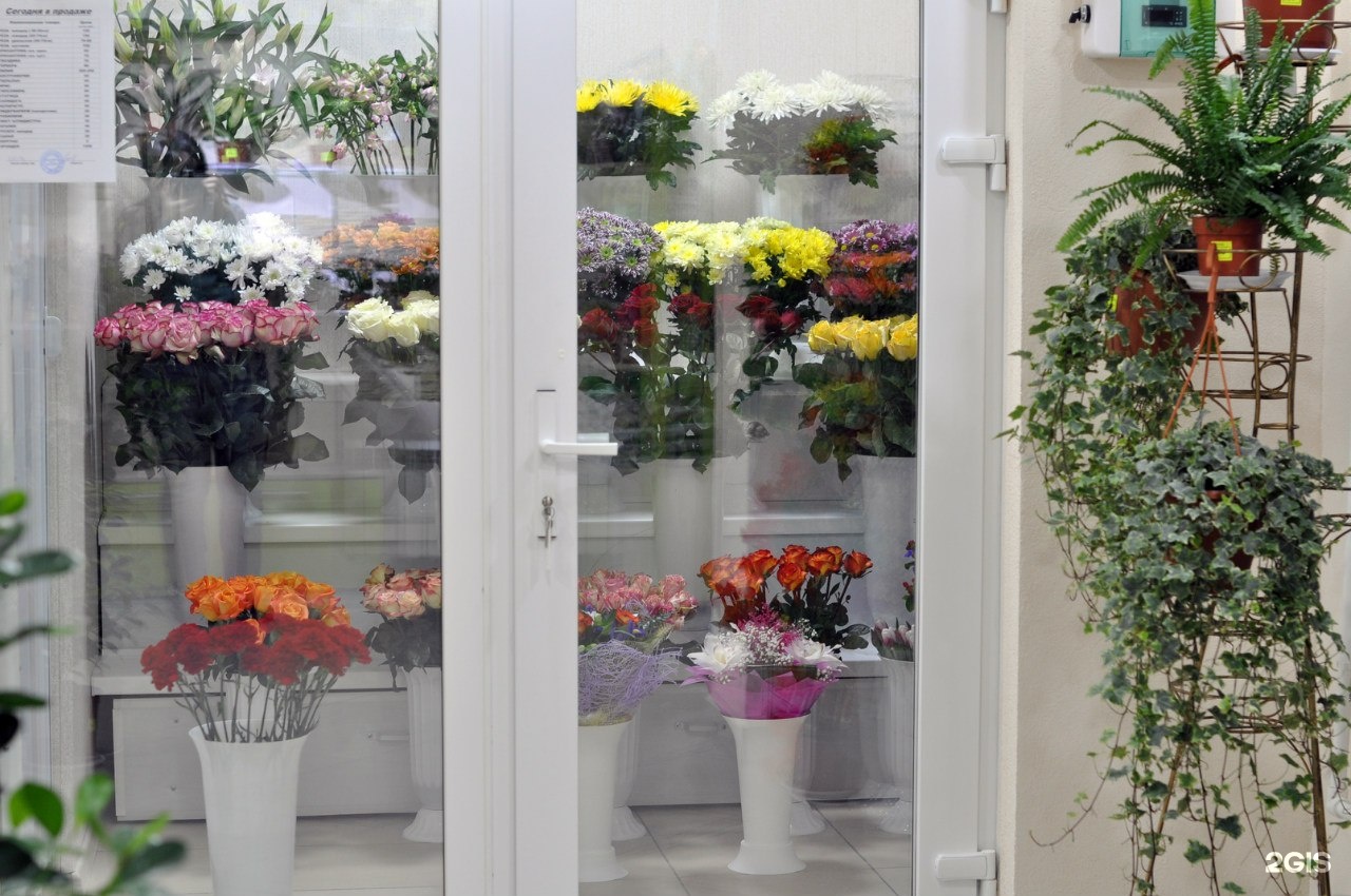 Купить Комнатные Цветы В Кургане