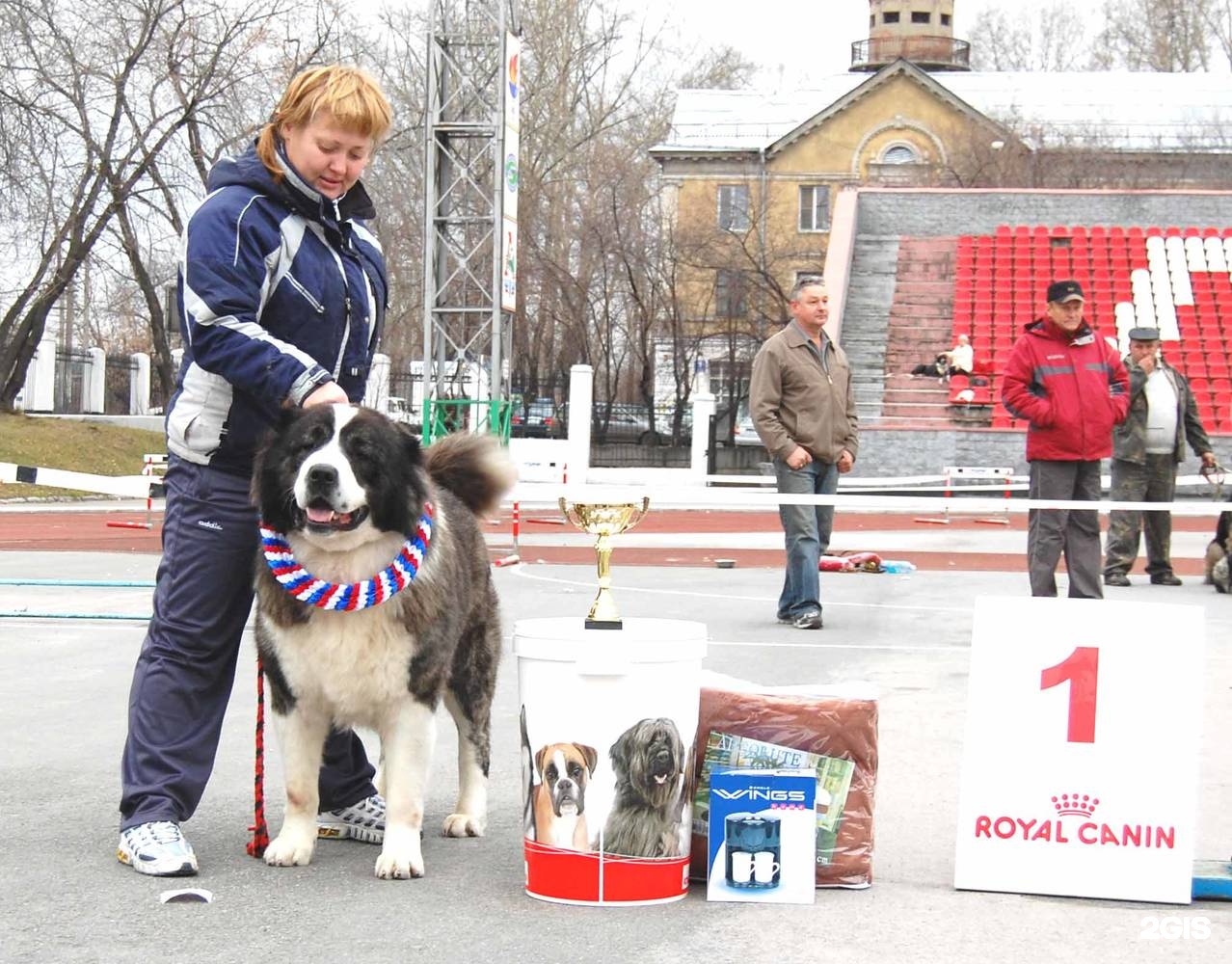 Клуб dogs