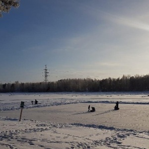 Фото от владельца Пруд Лесной, база отдыха