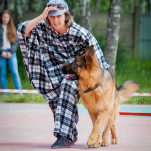 Фото от владельца Анкур, спортивно-кинологический центр