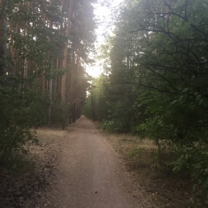 Фото от владельца Центральный парк культуры и отдыха им. Ю.А. Гагарина