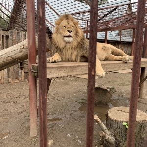 Фото от владельца Пермский зоопарк