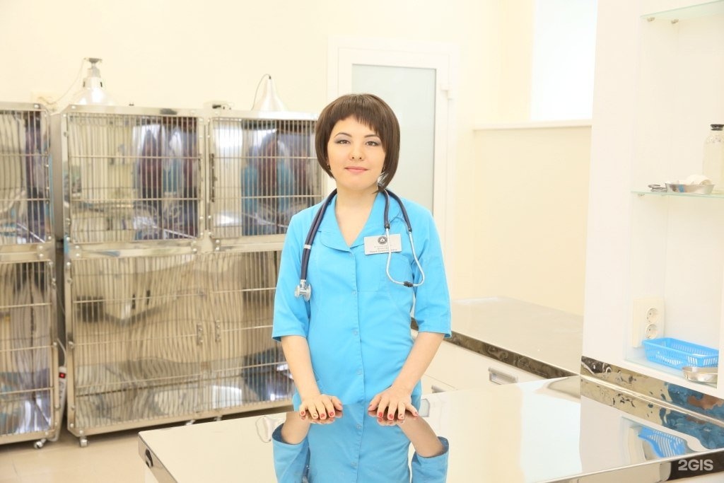 центр здоровья животных уфа