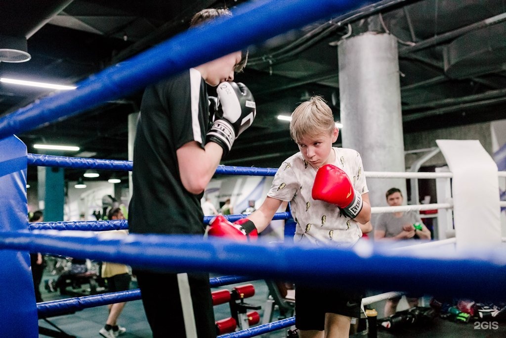 Boxing club. Боксерский клуб. Секции бокса в Уфе. Клуб бокса. Боксёрский клуб для детей.