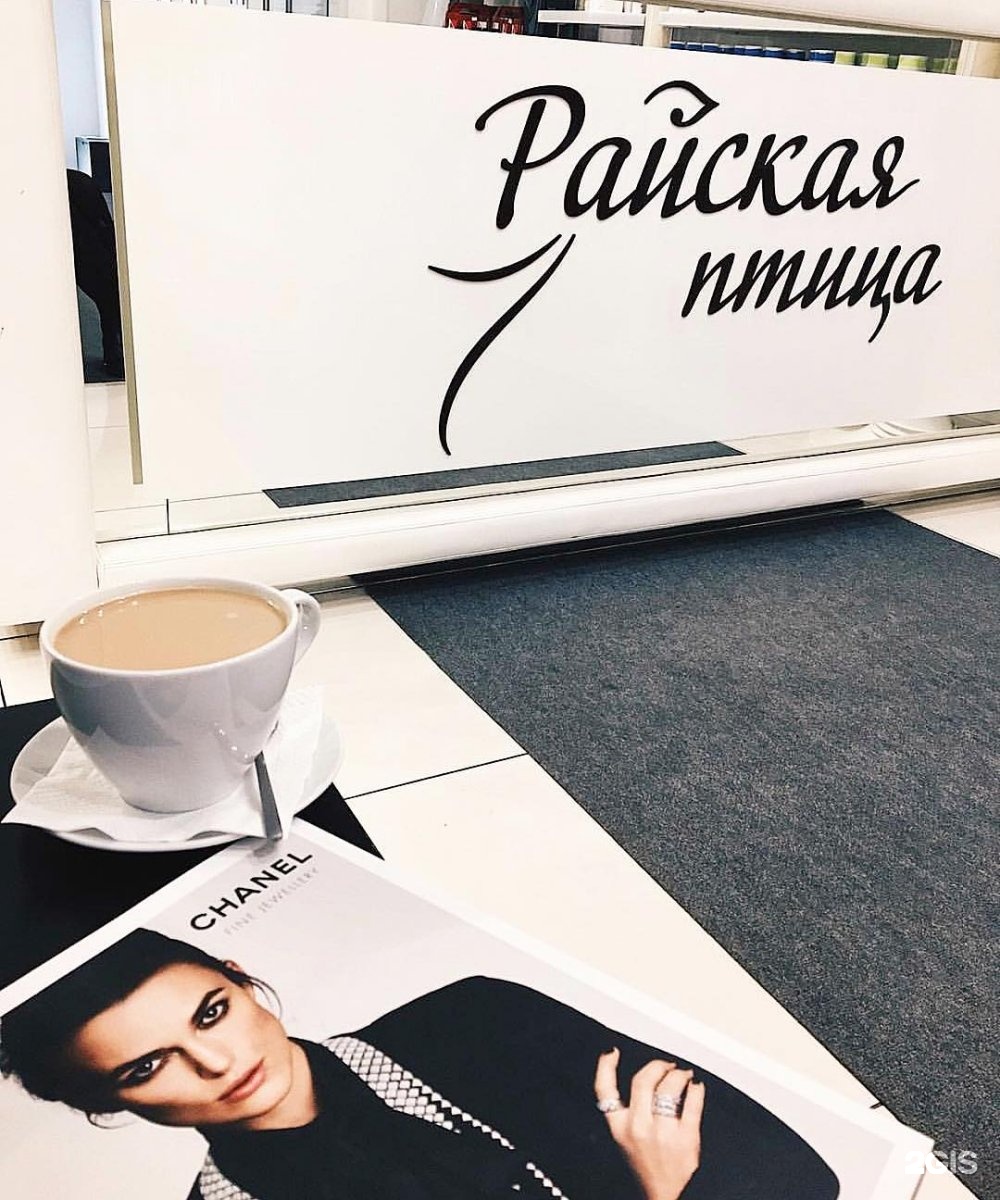 Райская птица салон красоты самара. Райская птица воронеж салон красоты. Райская птица салон красоты самара. Георгия димитрова 131 райская птица. Райская птица салон красоты самара.