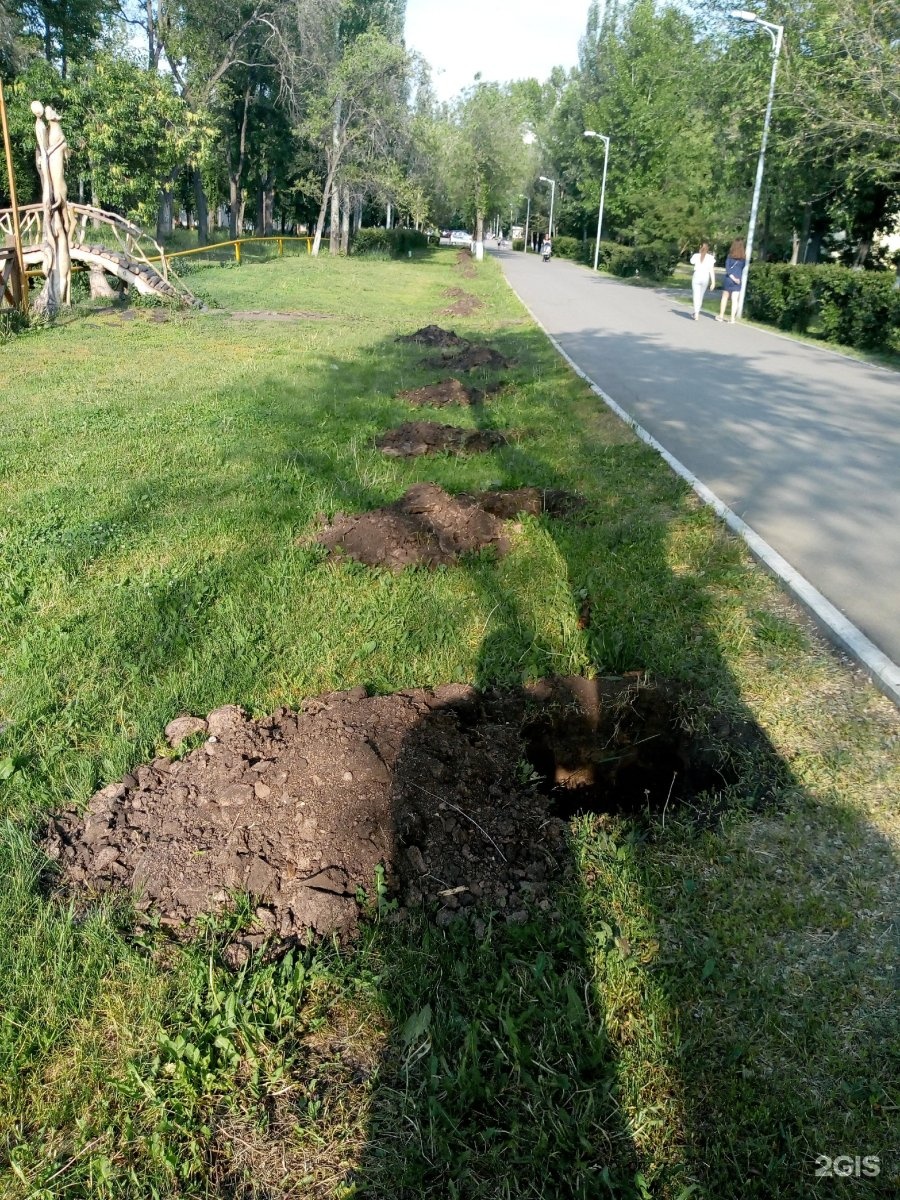 Улица дружбы парк. Парк Дружба контакты. Аллея Дружба в Гагаринском парке. Парк дружбы Бугуруслан. Парк Дружба Кировский район.