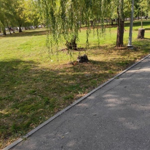 Фото от владельца Парк культуры и отдыха им. Ю.А. Гагарина