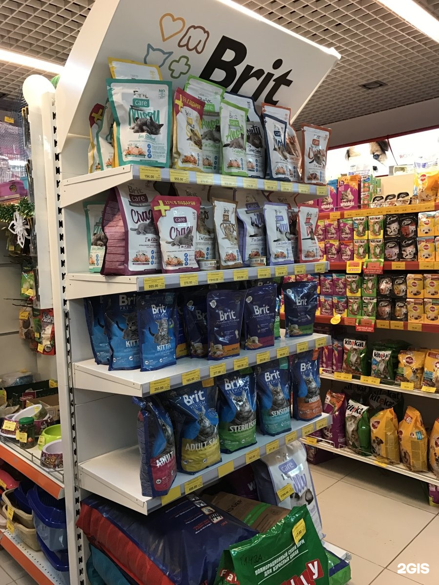 тигренок зоомагазин. комсомольское шоссе 3 нижний новгород зоомагазин тигрёнок. магазин игрушек тигрик логотип. тигренок зоомагазин. магазин тигренок симферополь.