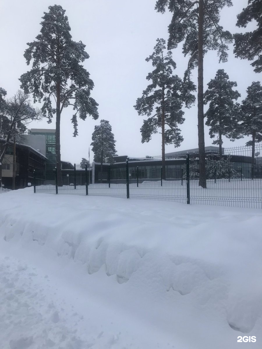 Чайка желнино. Желнино. Чайка загородный отель в Дзержинске. Улица Чайка.