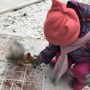 Фото от владельца Сказка, комплекс загородного отдыха