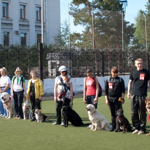 Фото от владельца Областной центр спортивно-служебного собаководства