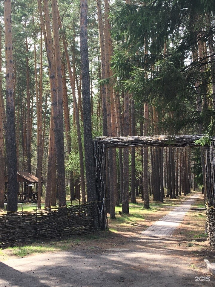 Серебряно отдых. Чернолучье серебряный Бор. Серебряный Бор Омск. Сосновый Бор Омск. Серебряный Бор Омск горка.