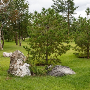 Фото от владельца Братья Green, группа компаний