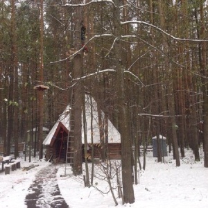 Фото от владельца Маугли, веревочный парк