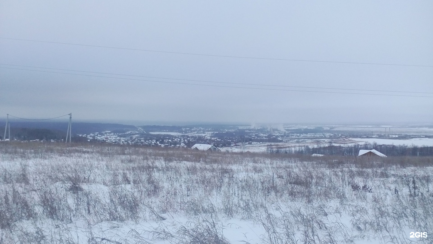 тсн раздолье