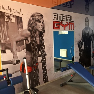 Фото от владельца Ambal gym, тренажерный зал