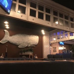 Фото от владельца Большая рыба, ресторан-бар