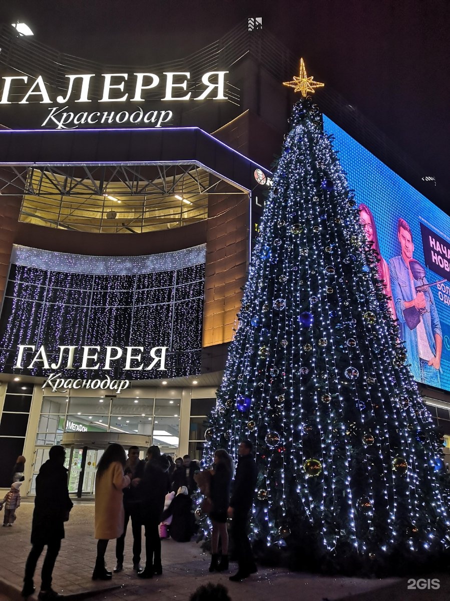 Кинотеатр галерея краснодар. Галерея Краснодар, Краснодар, улица Володи Головатого, 313. Галерея 2 Краснодар. Галерея Краснодар Нью йоркер. Владелец галереи Краснодар.