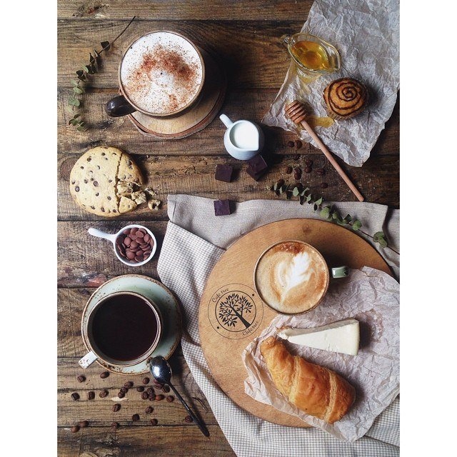 Вектор афиша дерево. Красивое кафе с дерева. Кафе на заре владивосток. Cafe tree. Кафе tree владивосток меню.