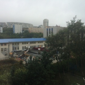 Фото от владельца Владивостокский государственный университет экономики и сервиса