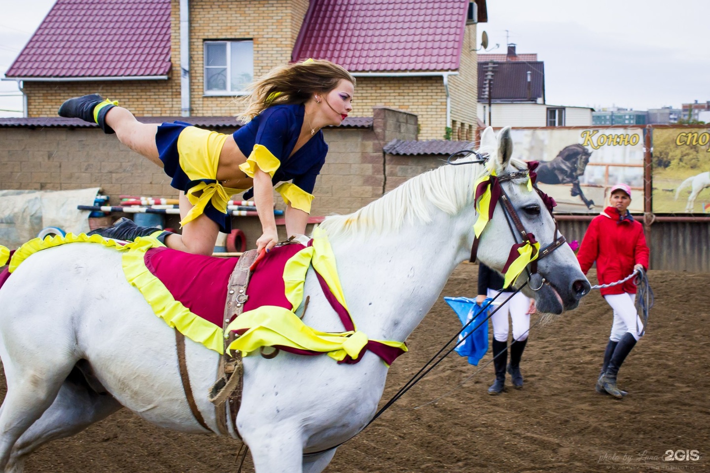 Horse екатеринбург. Директор белой лошади Кадниково. Белая лошадь Кадниково. Зоопарк в Кадниково белая лошадь. Белая лошадь Екатеринбург.