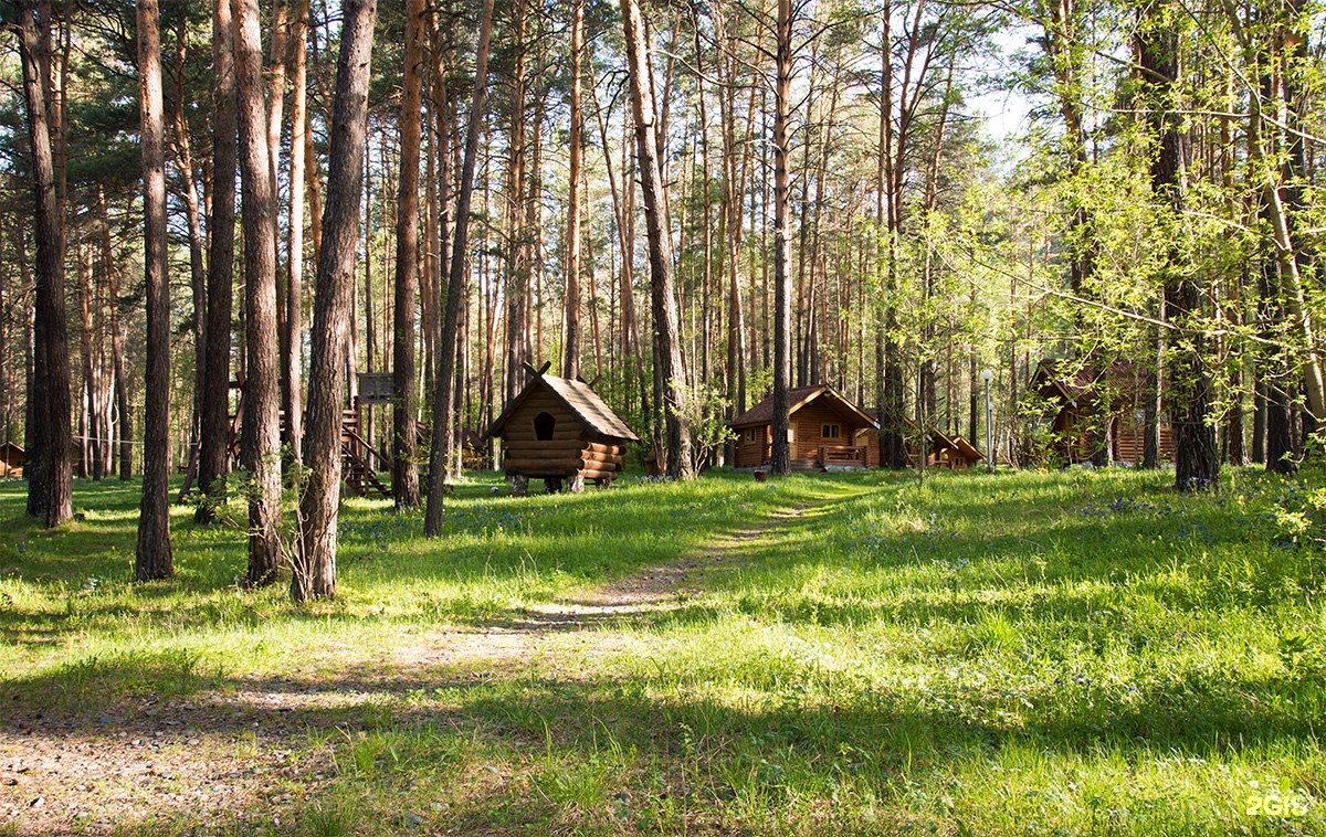 Картинки база отдыха, стихи днем