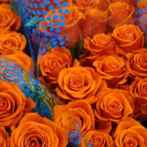 Фото от владельца Цветы24-Оптторг, сеть цветочных магазинов