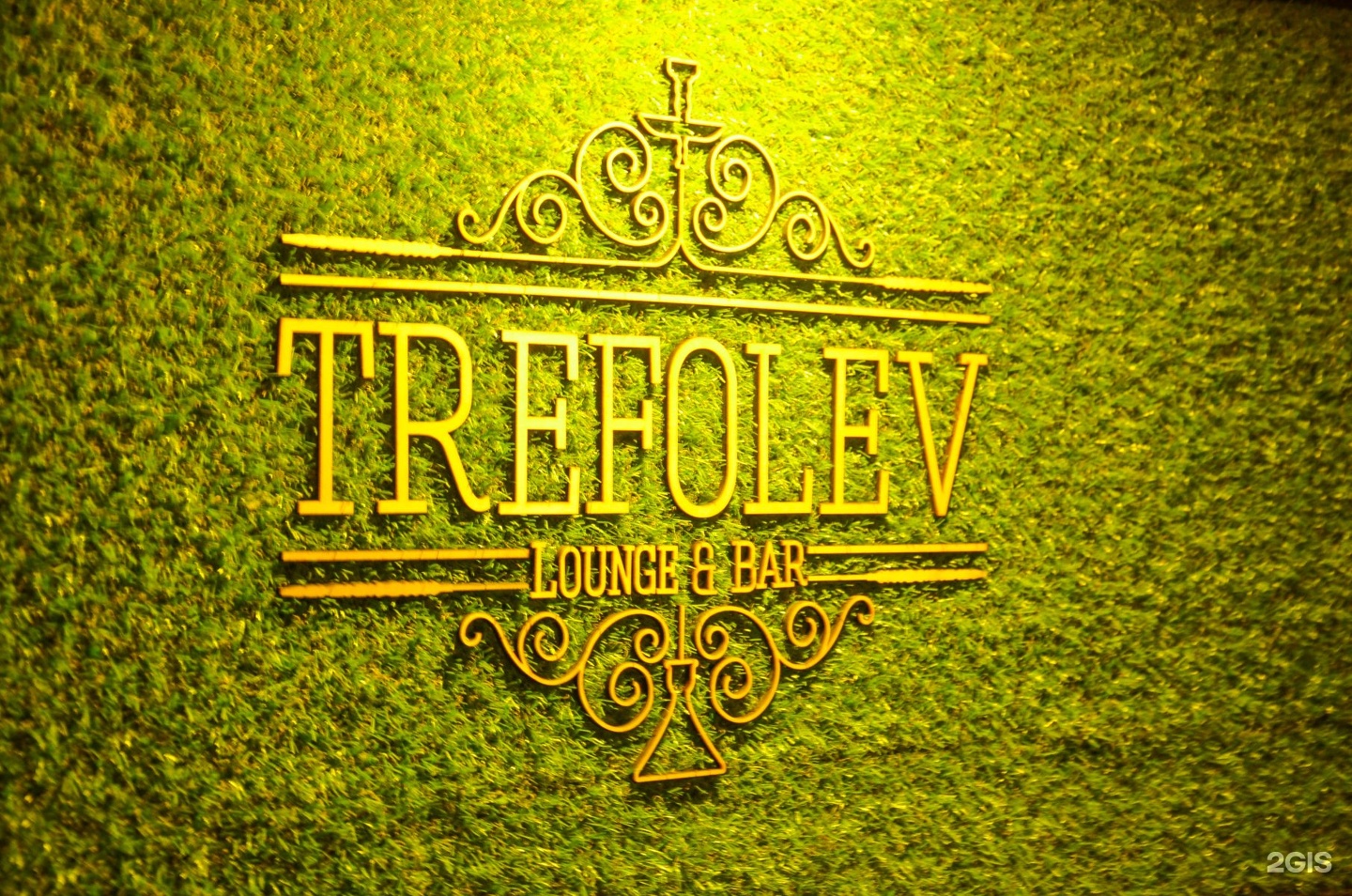 TREFOLEV, Ярославль.