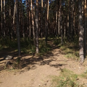 Фото от владельца Парк культуры и отдыха