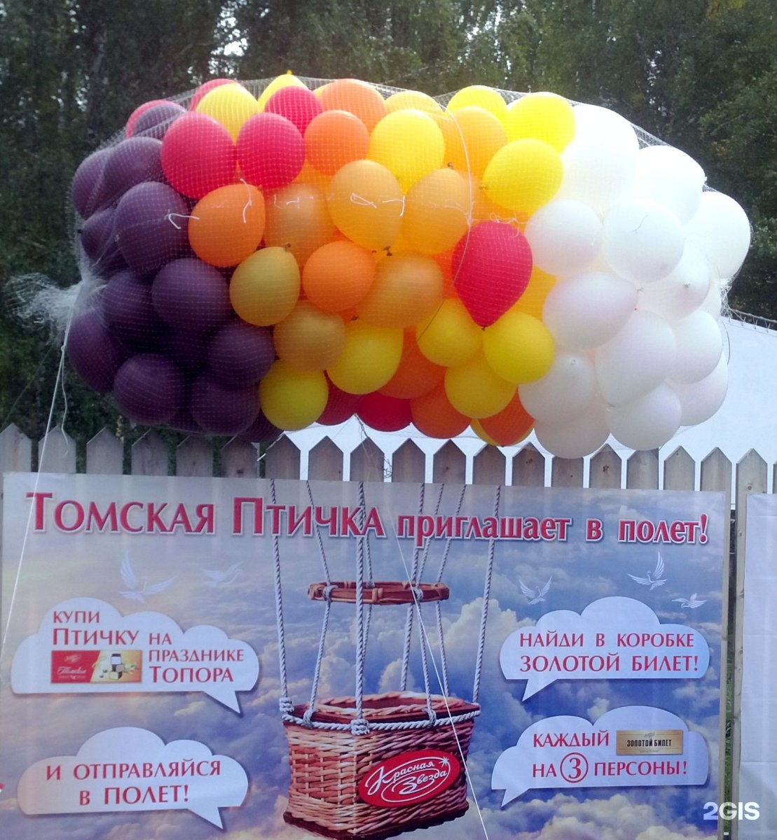 Воздушный шар томск. Шарики Томск. Воздушные шары в Пушкине. Объявление доставки воздушных шаров по району.